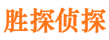 新龙侦探公司